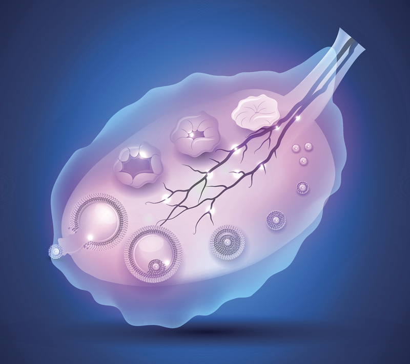 2026年广州地中海贫血试管婴儿医院排名与费用解析：三代试管技术助孕地贫家庭，附本地妇幼保健院价格参考